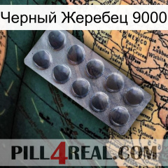 Черный Жеребец 9000 30